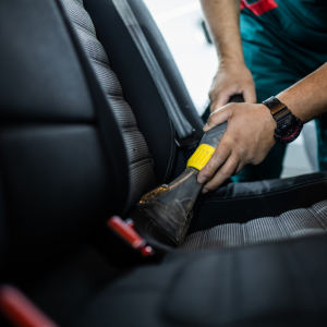 Interior Vacuum image